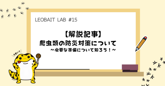 #15【解説記事】爬虫類の防災対策について〜必要な準備について知ろう！〜